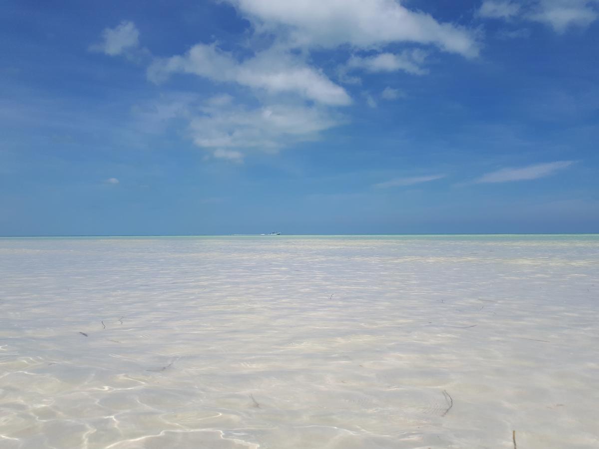 Апарт отель Casa Vainilla Holbox Island Экстерьер фото