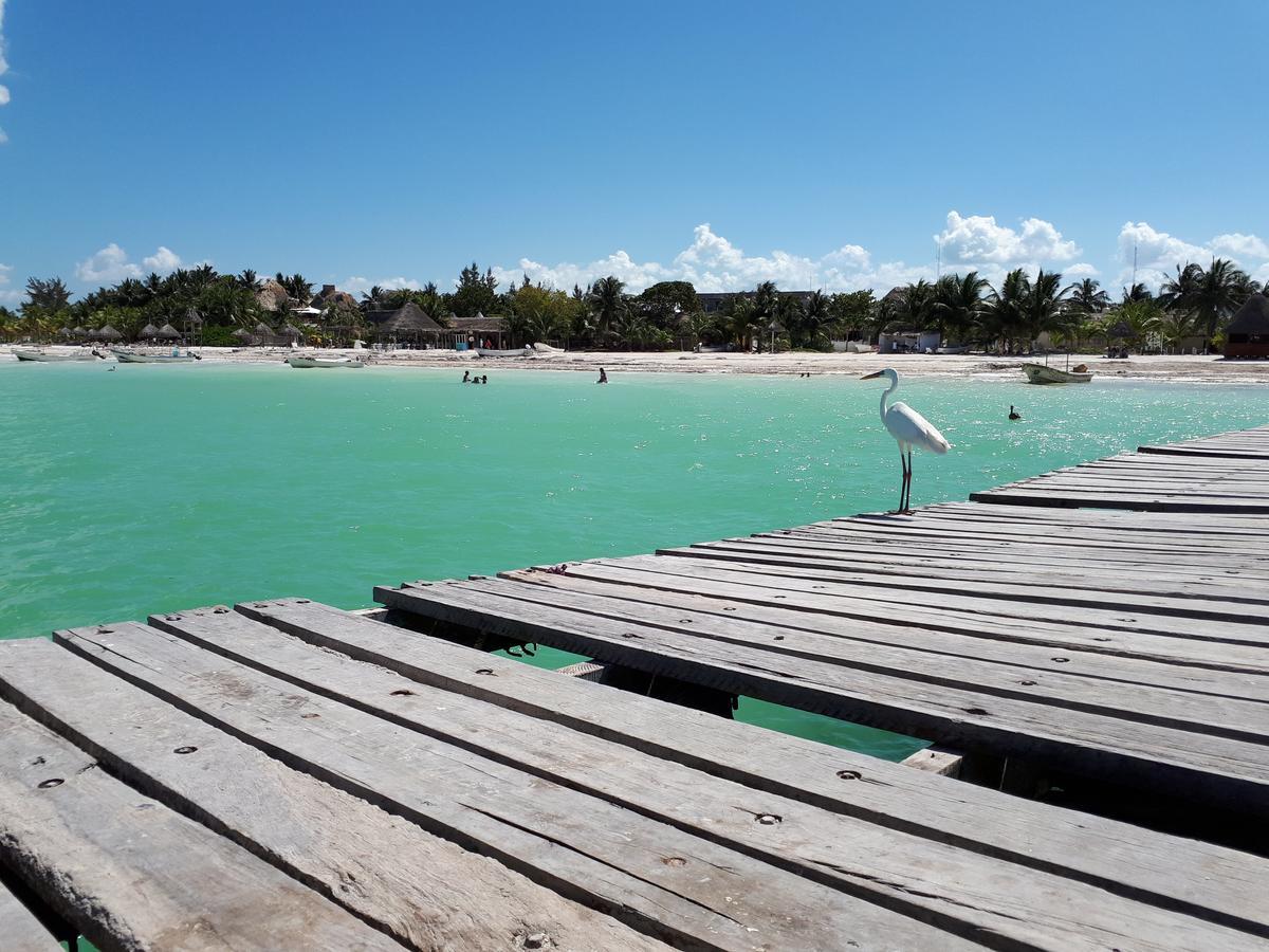 Апарт отель Casa Vainilla Holbox Island Экстерьер фото